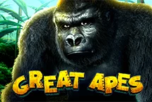 Great  Apes