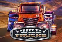 wild turcks