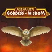 Goodles Windom